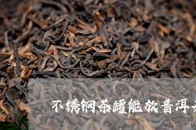 不锈钢茶罐能放普洱茶/2023092753636