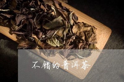 不错的普洱茶/2023042683297