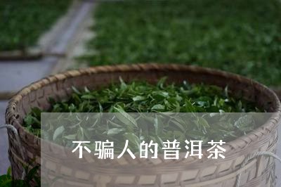 不骗人的普洱茶/2023102603904