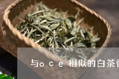 与oce相似的白茶香/2023092615040