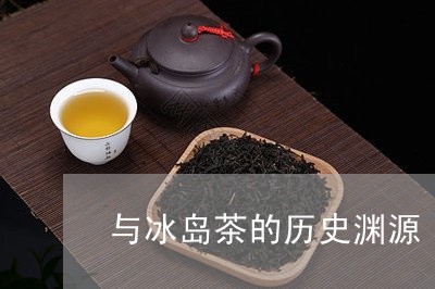 与冰岛茶的历史渊源/2023042698392