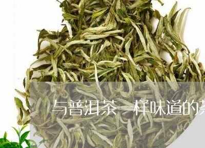 与普洱茶一样味道的茶是什么/2023082860805