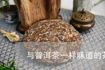 与普洱茶一样味道的茶是什么茶/2023052974705