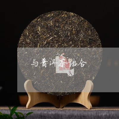 与普洱茶结合/2023042989703