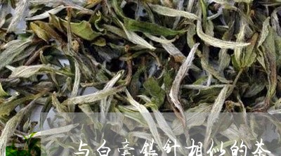 与白毫银针相似的茶/2023091414036