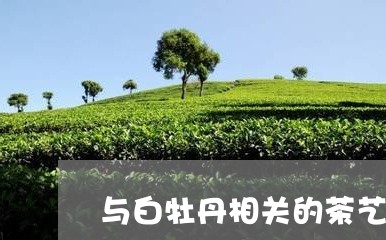 与白牡丹相关的茶艺/2023091460838