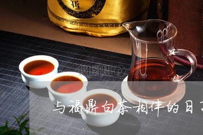 与福鼎白茶相伴的日子/2023091521715