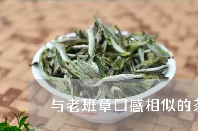 与老班章口感相似的茶/2023061293838