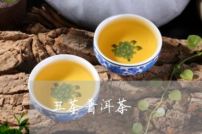 丑茶普洱茶/2023102538260