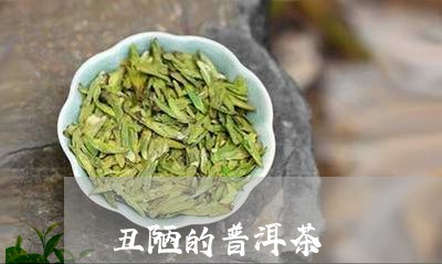 丑陋的普洱茶/2023042704297