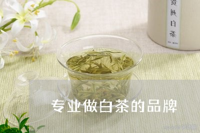 专业做白茶的品牌/2023061474948