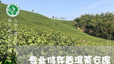 专业储存普洱茶仓库/2023091455159