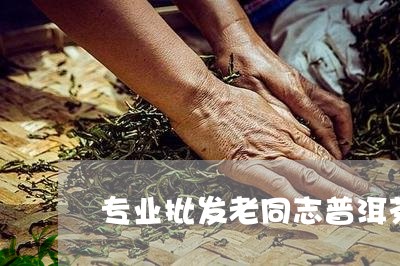 专业批发老同志普洱茶/2023080193708