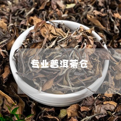 专业普洱茶仓/2023042753085