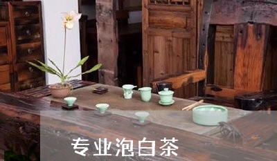 专业泡白茶/2023073017392