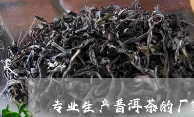 专业生产普洱茶的厂家有哪些/2023052870506