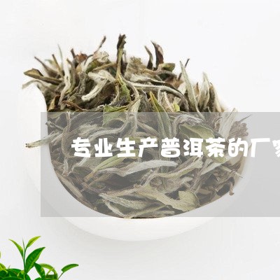 专业生产普洱茶的厂家有那些/2023110552692