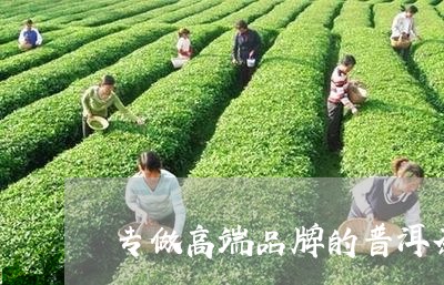 专做高端品牌的普洱茶/2023062463027