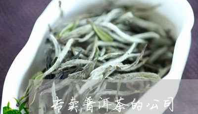 专卖普洱茶的公司/2023120429493