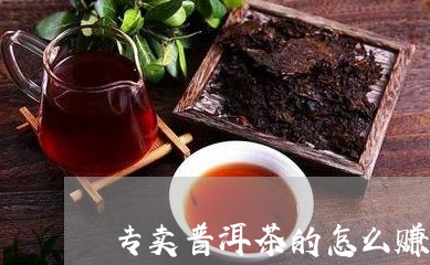 专卖普洱茶的怎么赚钱啊/2023110560381