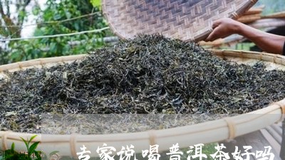 专家说喝普洱茶好吗/2023120506147