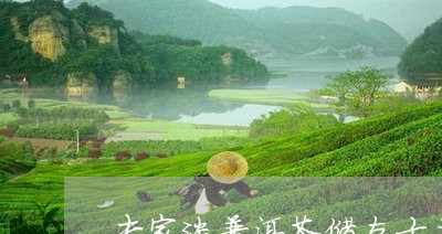 专家谈普洱茶储存方式的问题/2023082827270