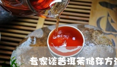 专家谈普洱茶储存方法与技巧/2023052894936