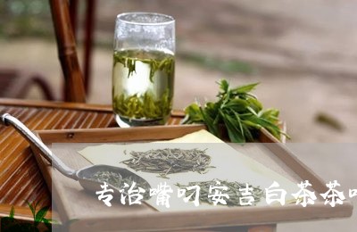 专治嘴叼安吉白茶茶叶/2023092685053