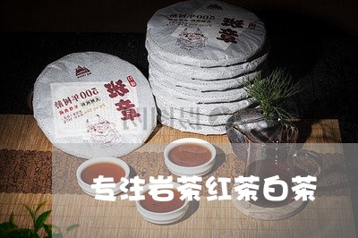 专注岩茶红茶白茶/2023061408425