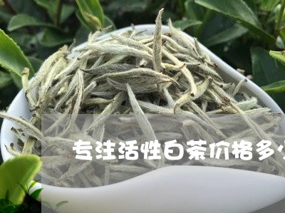 专注活性白茶价格多少/2023092688375