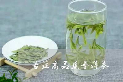 专注高品质普洱茶/2023101642805