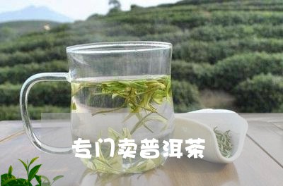 专门卖普洱茶/2023042750427