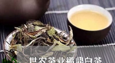 世农茶业福鼎白茶/2023090587959