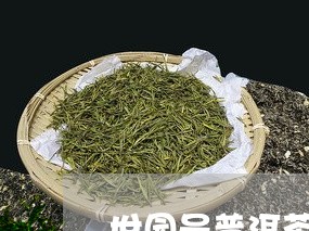 世园号普洱茶/2023042776345