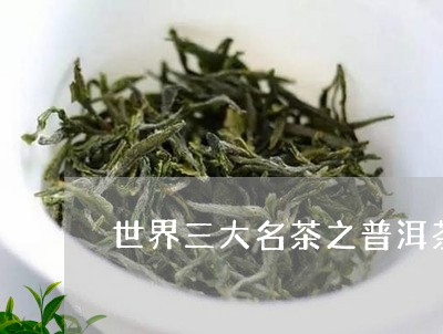 世界三大名茶之普洱茶/2023092743607