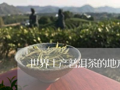 世界上产普洱茶的地方/2023061568402