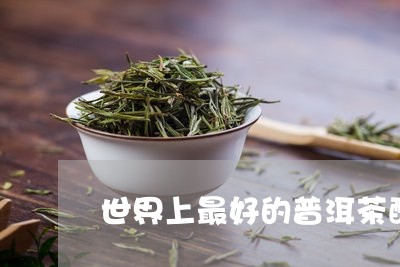 世界上最好的普洱茶醋/2023093093826