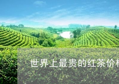 世界上最贵的红茶价格/2023092126157