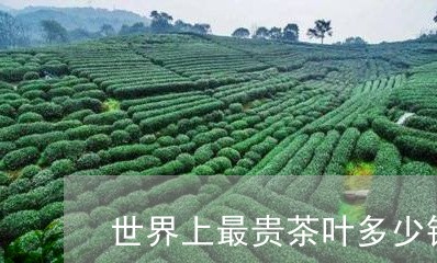 世界上最贵茶叶多少钱一斤/2023051249603