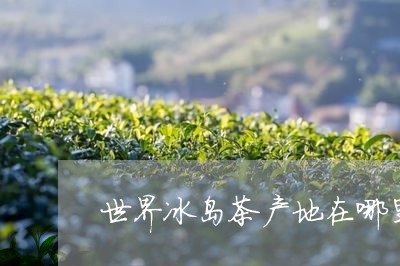 世界冰岛茶产地在哪里/2023061127150