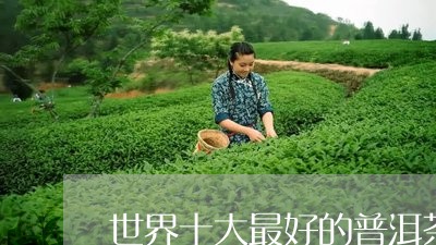 世界十大最好的普洱茶/2023092852713