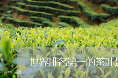 世界排名第一的茶叶是什么茶/2023052787382