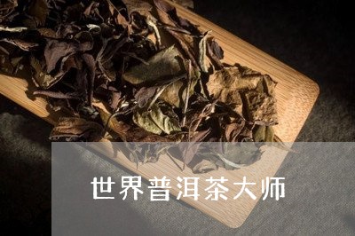 世界普洱茶大师/2023102638471