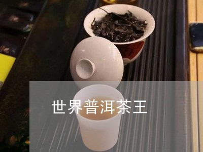 世界普洱茶王/2023042929715