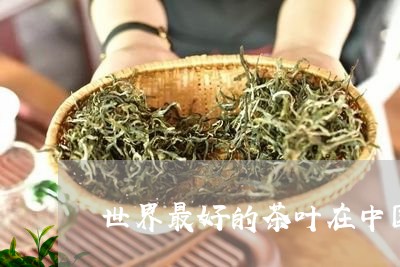 世界最好的茶叶在中国/2023092269504