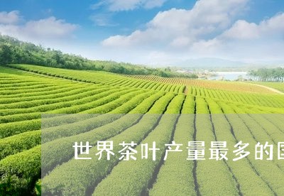 世界茶叶产量最多的国家前十名/2023053106047