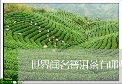 世界闻名普洱茶有哪些牌子/2023112488260