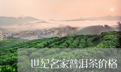 世纪名家普洱茶价格/2023071165249