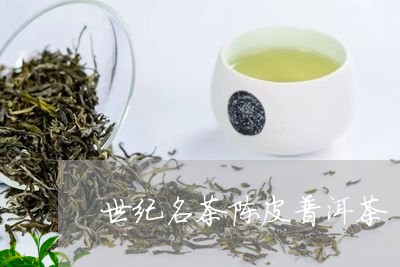 世纪名茶陈皮普洱茶/2023071125957