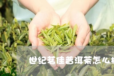 世纪茗佳普洱茶怎么样/2023061795361